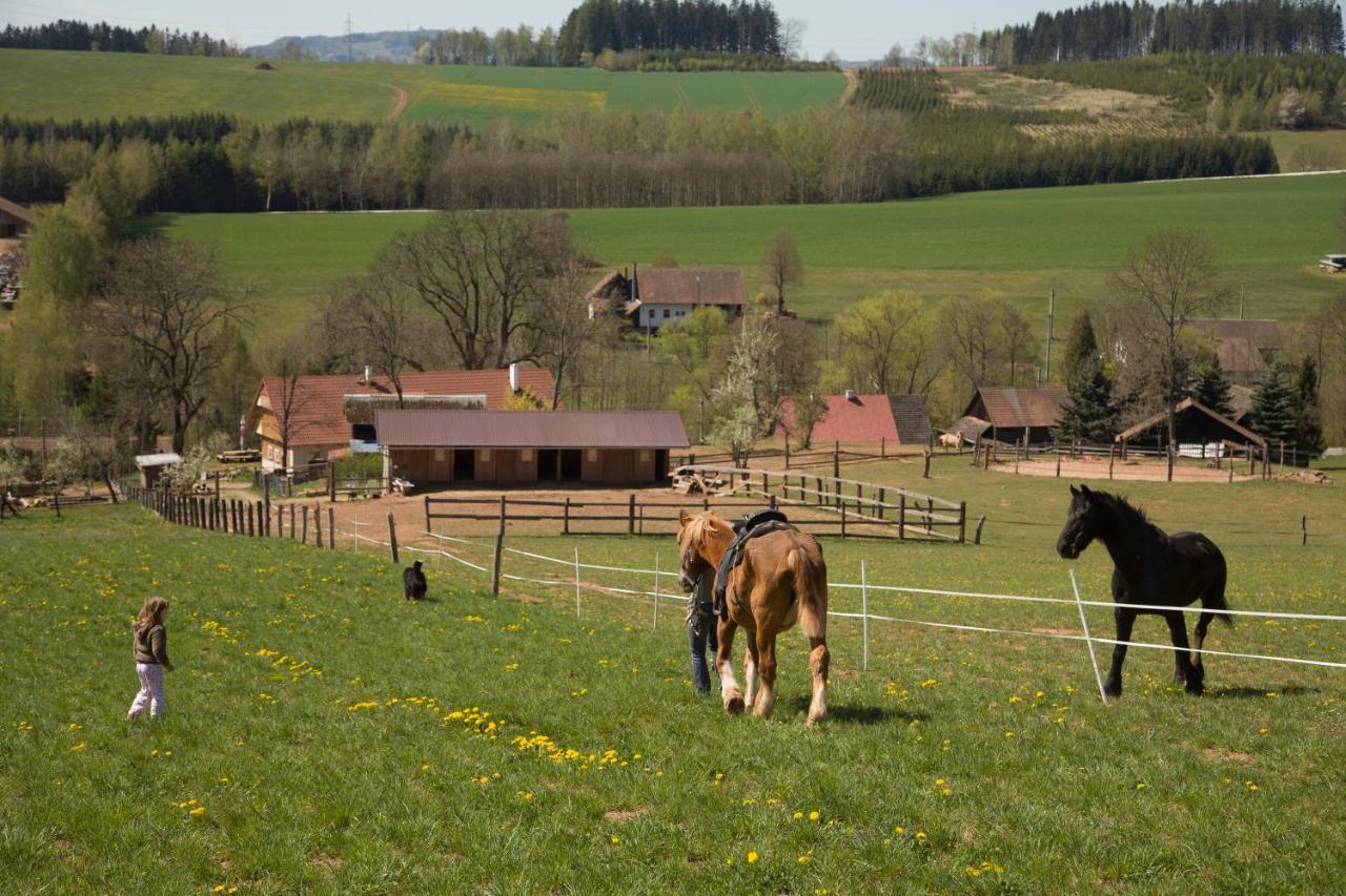 Farma Hermina イレムニツェ エクステリア 写真