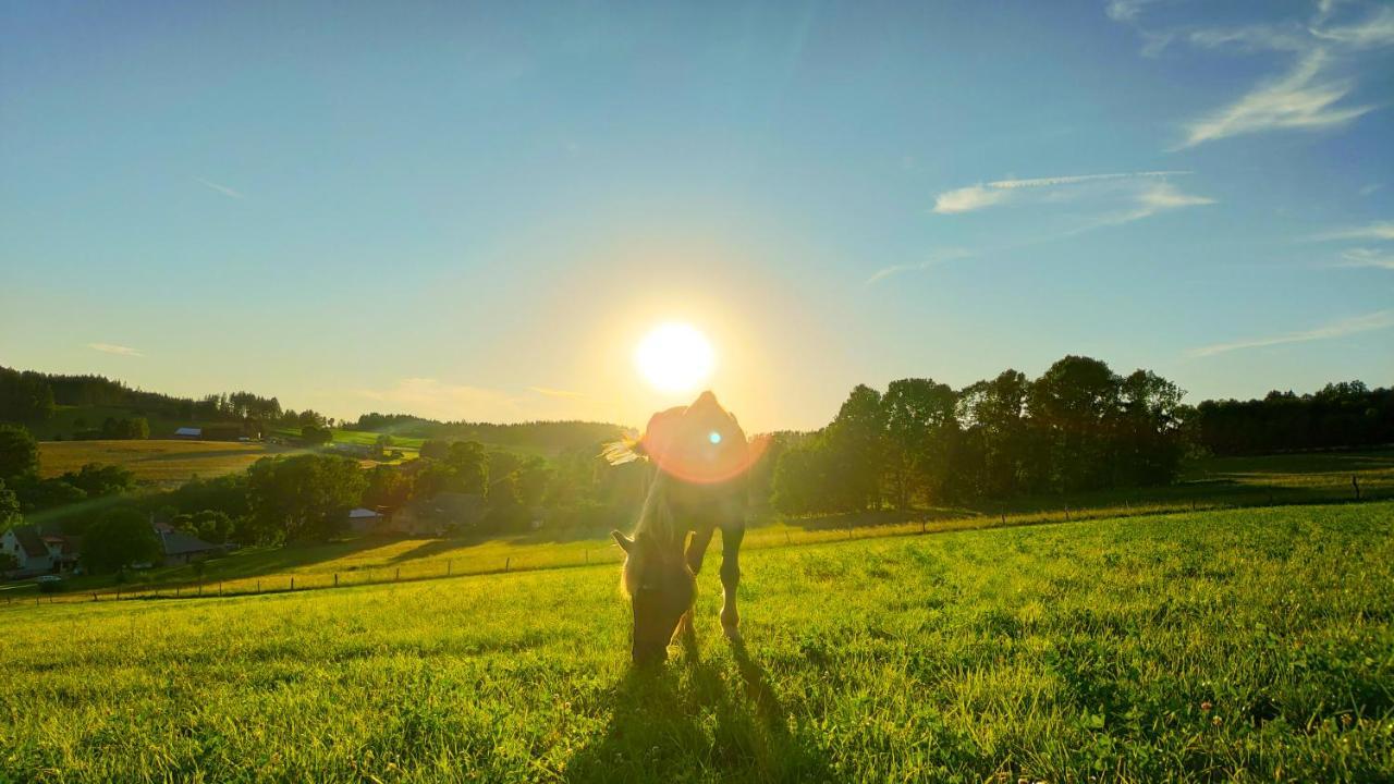 Farma Hermina イレムニツェ エクステリア 写真