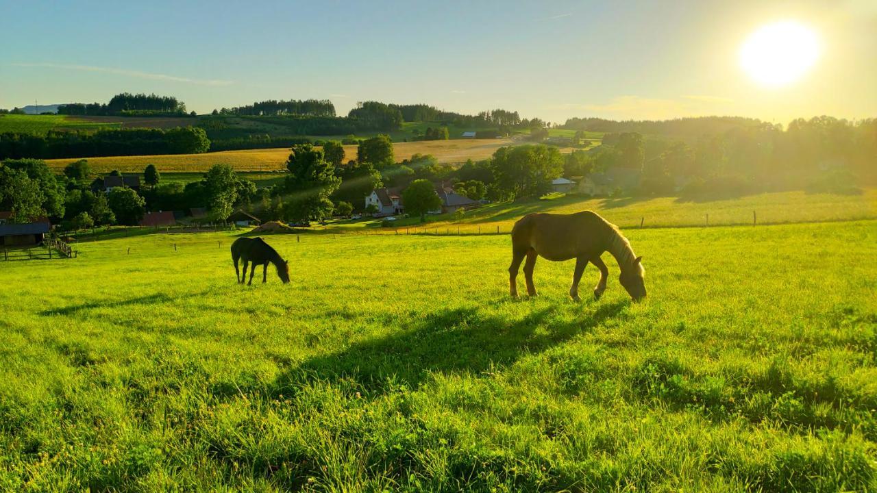 Farma Hermina イレムニツェ エクステリア 写真